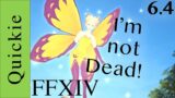FInal Fantasy XIV  Scholar Fairy Pet Glamours 6 4