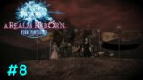 Final Fantasy XIV : A Realm Reborn Part 8