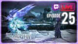 Final Fantasy XIV | Episode 25 | Heavensward Post Patch Continued