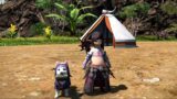 Final Fantasy XIV Update 6.4 – New Mounts & Minions