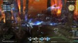 FINAL FANTASY XIV That Moment You Choose Your Friend Over The Tank