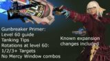 Final Fantasy 14 Gunbreaker Primer: Level 60 guide in detail