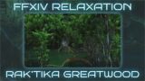 Final Fantasy XIV Relaxation: Rak'tika Greatwood (Arranged Ambient Cover) Study/Work/Sleep Music