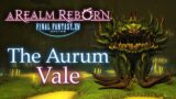 The Aurum Vale Story & Duty! ~Final Fantasy XIV: A Realm Reborn~ *Only Dungeon Quests