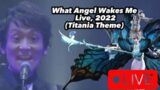 What Angel Wakes Me (Soken & GUNN vocals) – Live – Final Fantasy 14 – The Primals