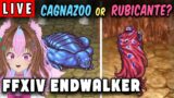 Boss fight with Cagnazzo or Rubicante | FFIV Fan Girl Squeals | FFXIV Endwalker 6.3 | Livestream