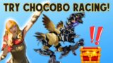 FFXIV Chocobo Racing & Breeding 101 – The Basics
