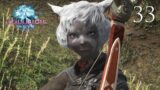 Final Fantasy XIV Online | Twitch VoD von Trixie_VT | Part 33