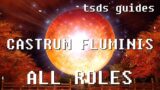 FFXIV Shadowbringers Castrum Fluminis Guide for All Roles