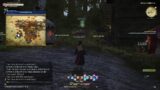 Final Fantasy XIV Learning How To Heal – Non – Commentary Part 2