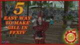 MY 5 TIP FOR GILL FARMING IN FFXIV