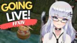 Talking about Fanfest, Dawntrail & Chilling on Final Fantasy XIV
