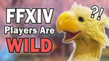 Weirdest Names FFXIV Players Give to Their Chocobos