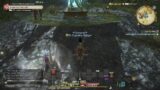 (ps5) Final fantasy 14 the Best mmo