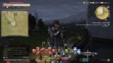 Final Fantasy 14 – The Road To Platinum  -Patch 2.1 – Part 31e: Sightseeing Log