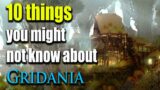 10 things you might not know about Gridania – FFXIV LORE