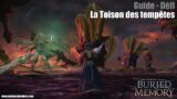 Final Fantasy XIV 6.2 – Défi – Guide : La Toison des tempêtes