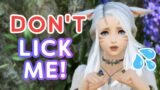 First time MSQ 🌱 Don't lick me! | Final Fantasy XIV