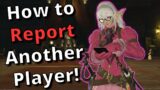 How to Report Another Player in FFXIV
