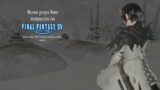 Stream #138 | "In From the Cold" [Final Fantasy XIV]