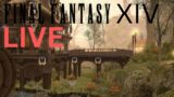 FFXIV Live – Creating a new character, collab with @blkspideygaming