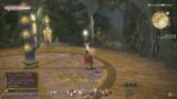 FINAL FANTASY XIV Online – Perfect Run