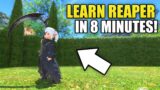 Learn FFXIV Reaper in 8 MINUTES!