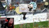 Widescreen pov (ZeplaHQ) | Final Fantasy XIV Online Highlights