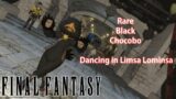 Final Fantasy XIV || Rare Black Chocobo Dancing Limsa Lominsa