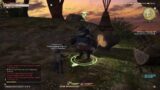 Final Fantasy XIV walkthrough – 257 – Sea of Vanu Vanu – Day 2