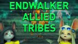 Lets the Race Commence! – FFXIV Endwalker Allied Tribe Quest Full Reaction