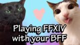POV: Playing FFXIV with your BFF, Explained in Cat Memes