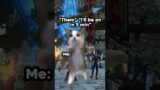 POV: Playing #FFXIV with your BFF #catmemes #shorts