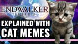 The Story of FFXIV Endwalker Explained With Cat Memes