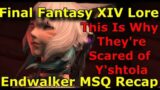 This Is Why Everyone's Scared of Y'Shtola – Final Fantasy XIV MSQ Recap