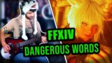 FFXIV – Dangerous Words on Guitar