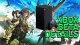 FFXIV Xbox Beta Details Revealed