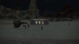 FINAL FANTASY XIV – Risks of joining a duty during a cutscene!