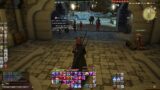 Final Fantasy 14 Raid night