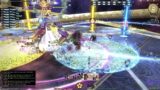 Final Fantasy 14 raid