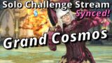 Grand Cosmos! FFXIV Solo Challenge Stream! How much can you solo Synced?! #20