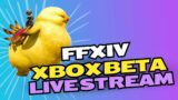 Making Our Way Through The MSQ Ep.1| FFXIV Beta Xbox Live Stream