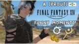 A Sprouts 🌱 FFXIV Funny Moments!