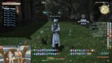 [FFXIV] NamePending – Raid stuff, We do things Week 31