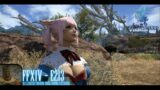 Final Fantasy XIV – E213 – (So I started Punching until I found a Retainer!)