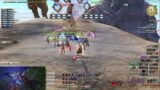 Final Fantasy XIV (Test Run)
