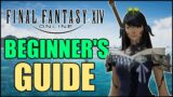 Ultimate Final Fantasy 14 Beginner's Guide