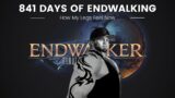 FFXIV – 841 Days of Endwalker | How Does It Feel Now?