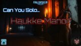FFXIV : Can You Solo… Haukke Manor ?