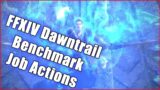 FFXIV Dawntrail Benchmark Job Actions